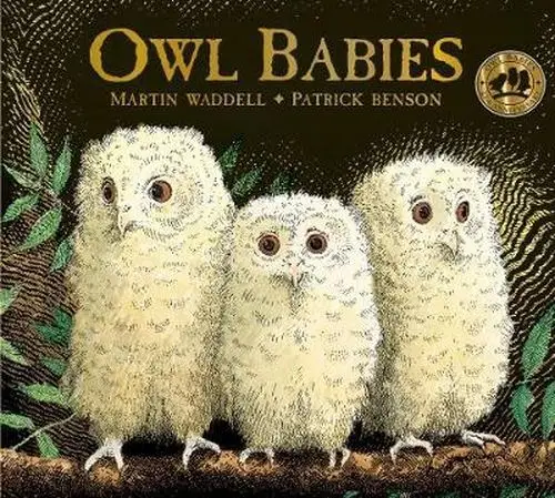  Owl Babies | Martin Waddell 